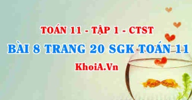 Bài 8 trang 20 SGK Toán 11 Tập 1 Chân trời sáng tạo